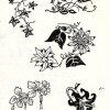 carnet12 Page 12.