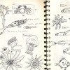 carnet13 Page 13.