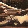 neige Neige - 40 x 110 x 12 cm. - 2009