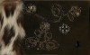 couverturecarnet1