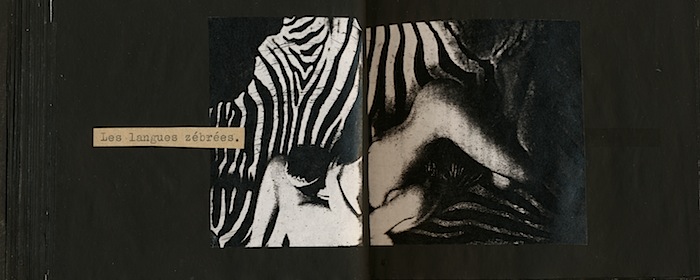 journaldesmortsd