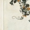 Le nid de guêpe:site Le nid de guêpe.