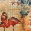 flamants6site Vers le Sud I
