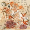 expeditiondanslesudestasiatiquesite expédition dans le Sud-Est asiatique