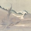 herbiermaritimesite Herbier maritime
