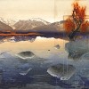 lesarbresdefeusite Les arbres de feu