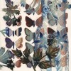 II:kageetudedepapillonsIatraverslafenetresite Etude de papillons I kage - A travers la fenêtre